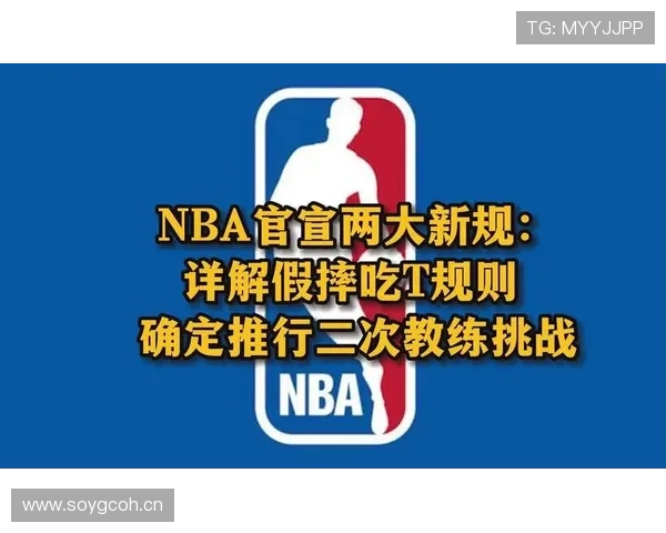 挑战判罚规则是什么意思？NBA新规解析与实战应用
