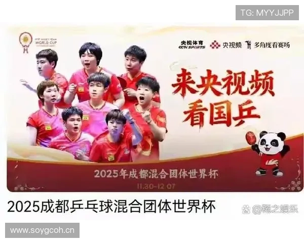 埃及冲击2026世界杯:赛程前景与出线形势分析